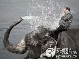 有些图片总让人不淡定