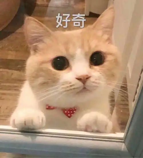 你就知道欺负我,小委屈表情包图片