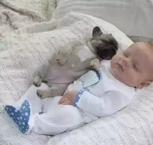 哈哈哈哈谁家的活宝睡成这样看看有你家的没
