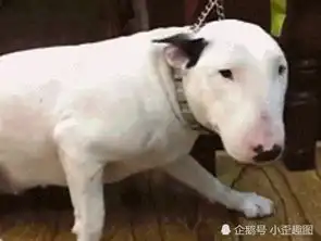 搞笑gif趣图哥们这么吃面不烫吗哈哈,要是吃火锅可怎么办啊
