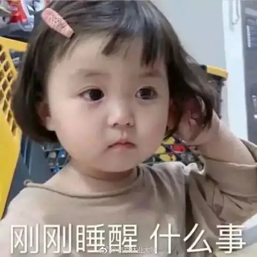 晒晒我的寒假清单
