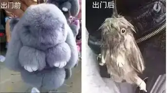 微信朋友圈晒天热的搞笑内涵图片