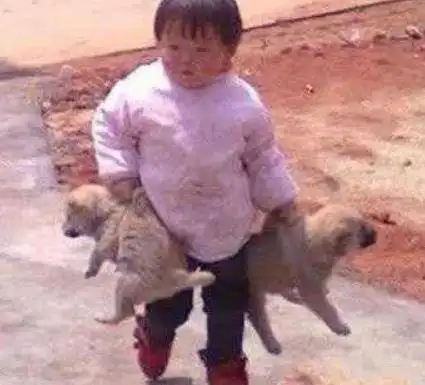 搞笑趣图一张图告诉你什么是真正的女汉子
