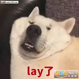 可把我能耐坏了猫咪傲娇表情包闭嘴吧你猫咪可爱表情包下载乐游网游戏下载

