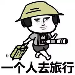 简单总结一下我的2017间歇性踌躇满志,持续性混吃等死
