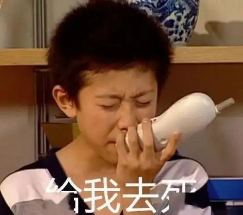 论如何与蚊子打持久战作战手记

