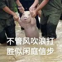 网红小猪爆笑表情包带字大全网红小猪被做成表情包了

