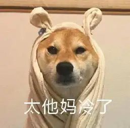 天气冷搞笑表情包请问你是不是想冷死我
