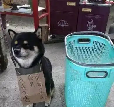 搞笑gif趣图小兄弟你赢了,我甘拜下风,长大缺少不了媳妇

