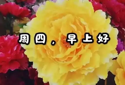 冬天到了微信最近很火的早安正能量语录句子早上好问候语阳光图片
