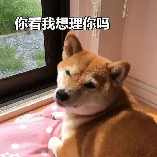沙雕表情包大家好,我是佩奇,这是我的弟弟乔治
