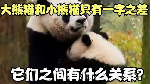 大熊猫和小熊猫只有一字之差,它们之间有什么关系
