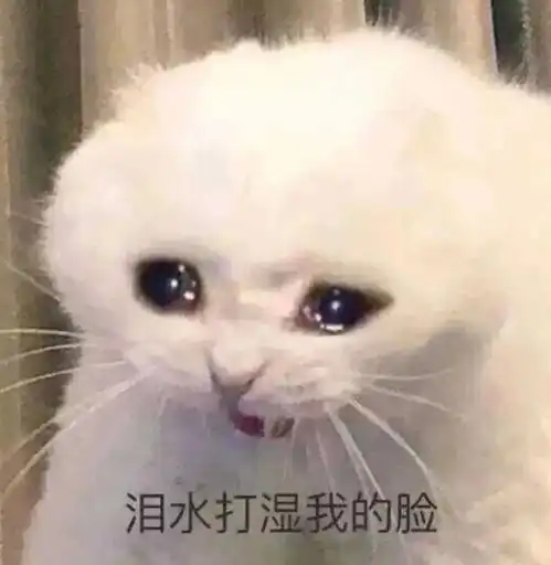 假期最后一天,原来是谷子的生日
