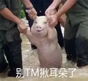 猪固有一死,或死于洪水,或死于红烧
