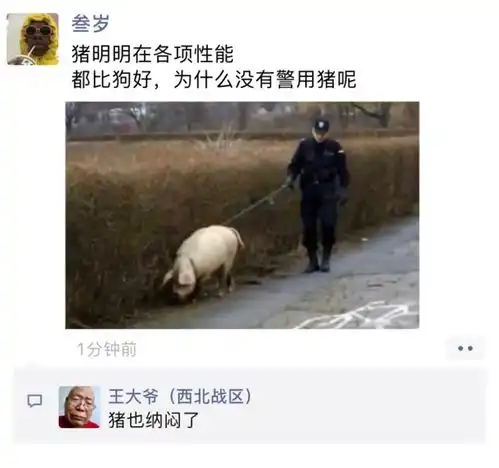 搞笑图片看一遍笑一遍
