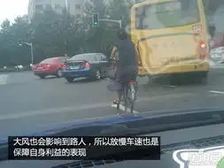 恶劣天气巧避险二遭遇大风警惕能见度
