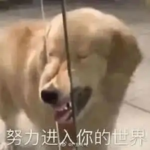 你在北方冰天雪地,我在湛江滨海风和日丽
