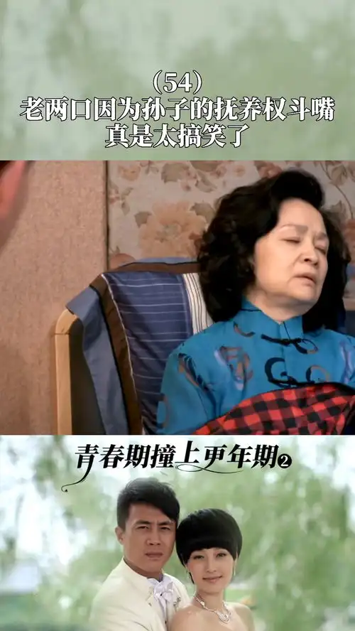 老两口因为孙子的抚养权斗嘴,简直不要太搞笑青春期撞上更年期2
