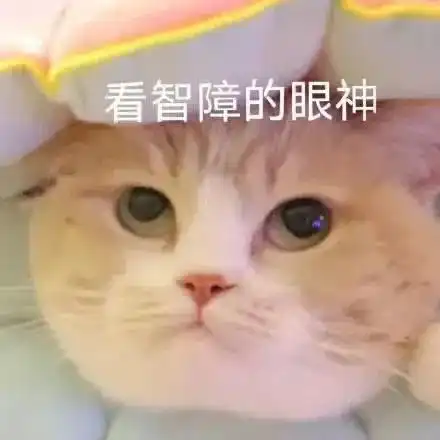 近期热图,搞笑表情包
