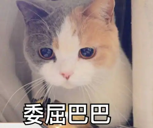 扎心贵阳人过年回家十大怕,你中了几条