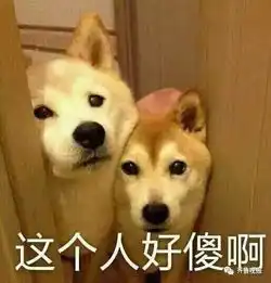 880热议女子家门口捡到个可爱排插,让人冒冷汗的事发生了
