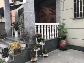 我们和庭院有一个美丽约会
