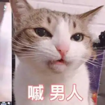 萌宠表情包来袭,快来收图,是谁掐住了我命运的后颈皮
