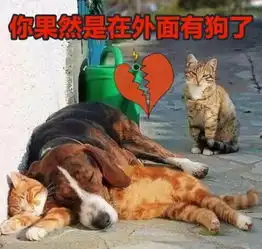 七夕礼物大赛只有你想不到的,没有送不出来的
