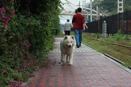 厦门散步遛弯好去处三铁路公园
