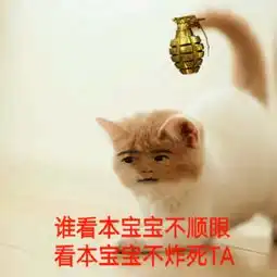 求猫猫带字的表情包比如这两个