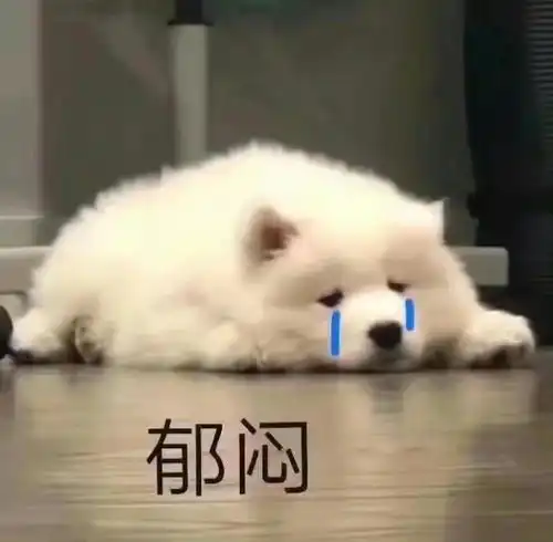 狗狗可爱表情包动物