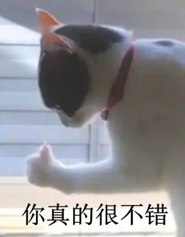 猫咪跟着音乐卖弄肌肉还伸出大拇指摆造型猫喵星王我当定了
