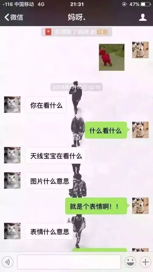 有一种代沟叫父母不懂我们的表情包