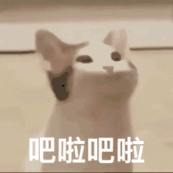 哔哩哔哩专栏
