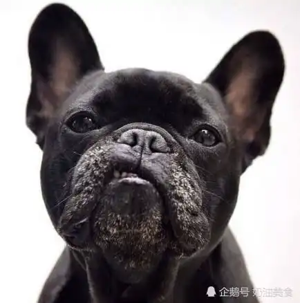 搞笑段子小时候看电视上别人上吊死了,我那二货姐姐就说
