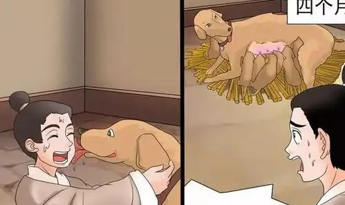 搞笑漫画老杜套路小舅子,小舅子态度反转力劝小姐姐嫁老杜
