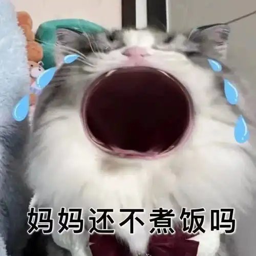 妈宝女快快用起来吧