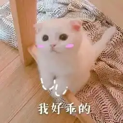 一组仙女专用的萌萌哒表情包,你值得拥有
