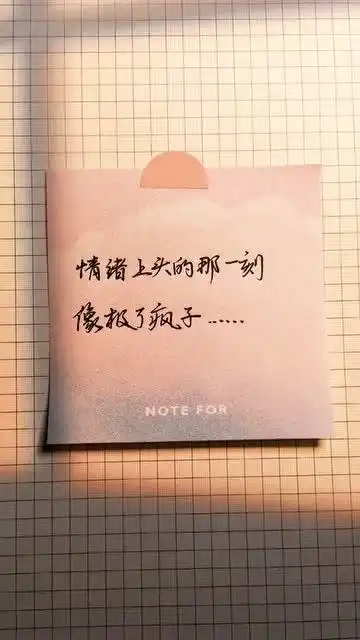 情绪上头的那一刻,像极了疯子
