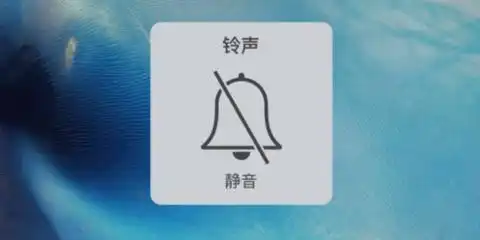 养宠通病我命油我不由天别救了,弃了吧....