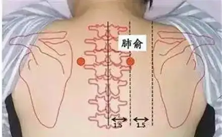 肺俞穴咳嗽气喘吐血鼻塞
