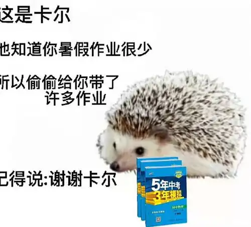 搞笑趣图人的本质就是地毯,不是躺平就是内卷
