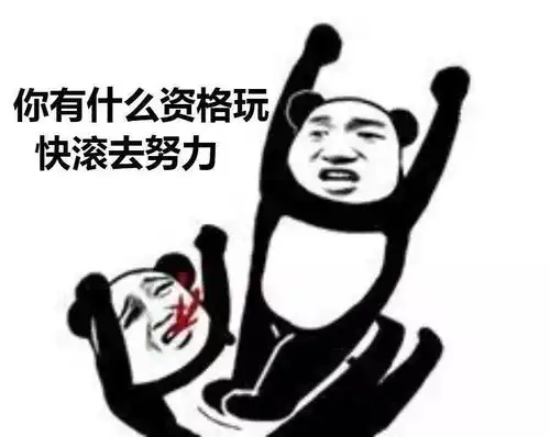 博士生们每天都在做什么
