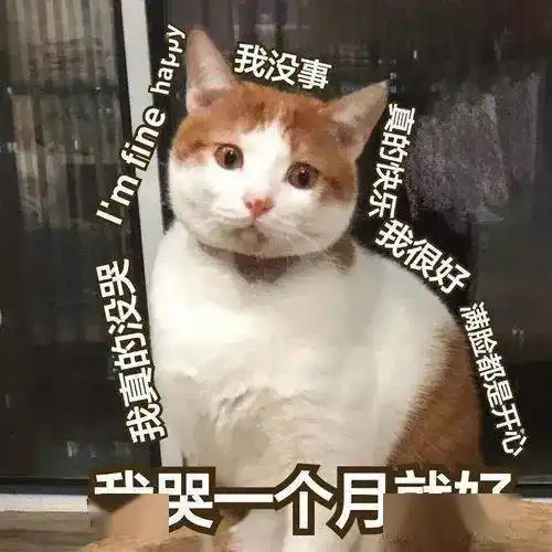 过于窒息第一次考雅思,考官被我逼到开口说中文
