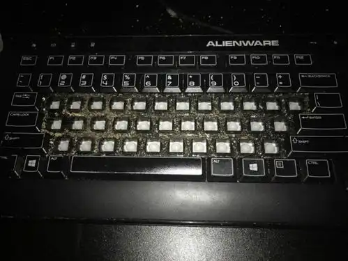 看一眼就让你起鸡皮疙瘩的15张照片,胆小慎入我只能挑战到一半
