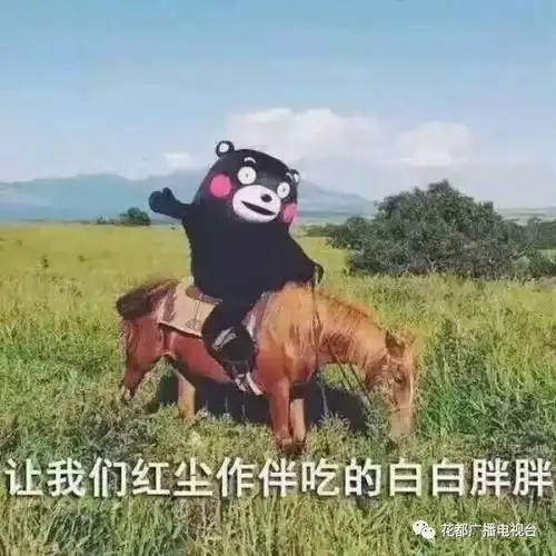2018花都开启可怕湿冷模式这间店老板要搞大事,狂送羊肉
