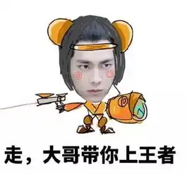 打游戏表情包我太菜了孙
