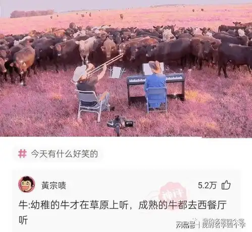 什么发明,违背了当初的用法评论区太搞笑了吧哈哈哈
