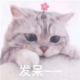 拉芳的玻尿酸洗发水好不好,补水怎么样