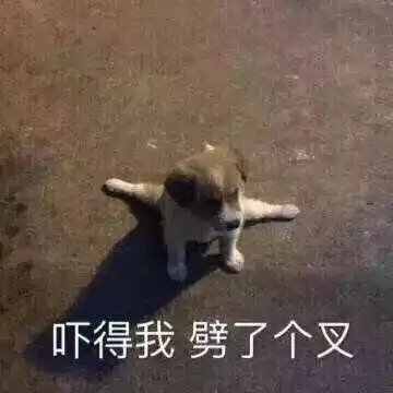 谢谢表情包搞笑图片不削